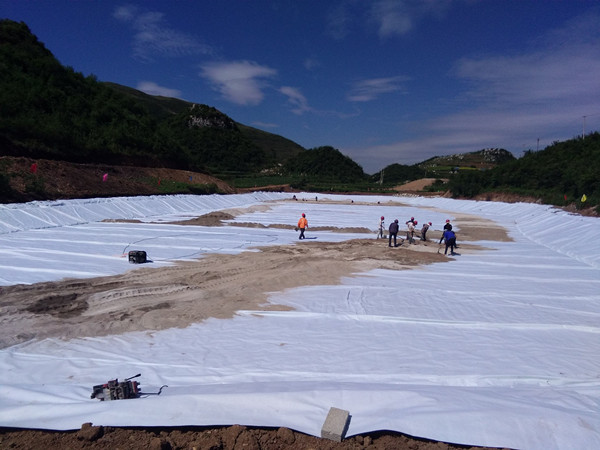 0.75mm人工湖防渗土工膜多少钱图片第1张 0.75mm人工湖防渗土工膜多少钱图片第1张-盈旭土工材料