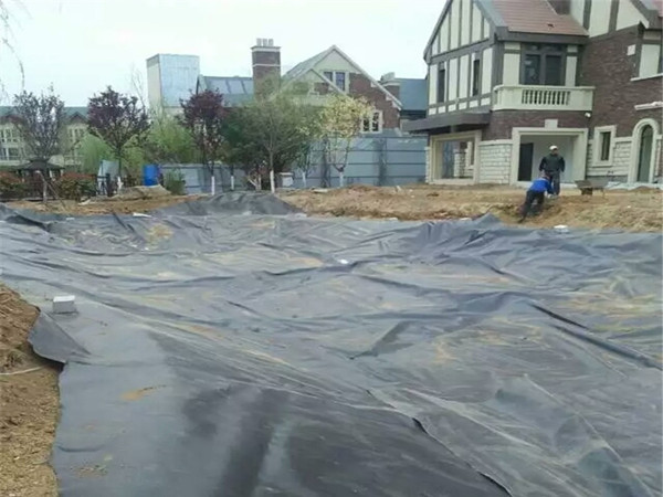 水产养殖专用防渗膜多少钱一平方图片第1张 水产养殖专用防渗膜多少钱一平方图片第1张-盈旭土工材料