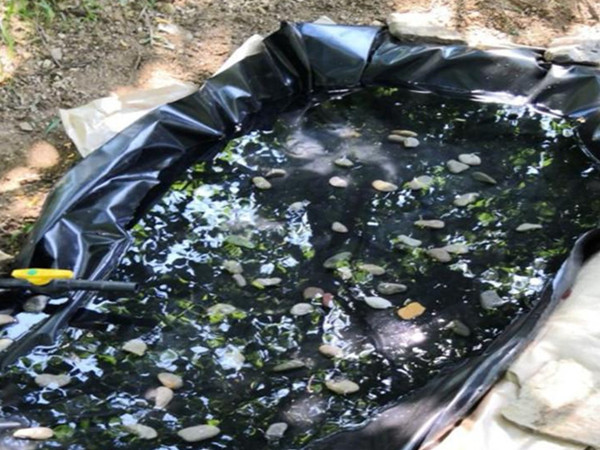 养鱼防渗膜图片第1张 养鱼防渗膜图片第1张-盈旭土工材料
