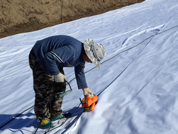 复合土工膜图片第6张 复合土工膜图片第6张-盈旭土工材料