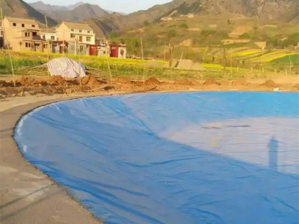 绍兴炼油厂土工膜,聚乙烯短丝复合土工膜图片第5张-盈旭土工材料