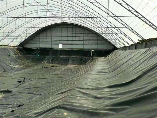 虾塘土工膜图片第3张 虾塘土工膜图片第3张-盈旭土工材料